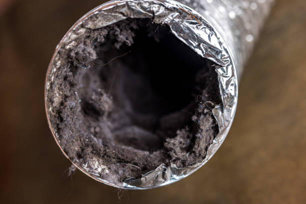 Best Residential Air Duct Cleaning  in Twin City, GA